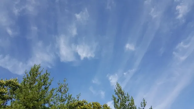 云服务器实例释放到底怎么做才不踩坑