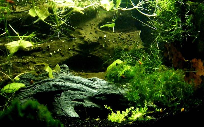 云服务器怎么装音效？从原理到实操一次讲透