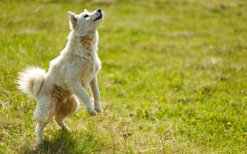 阿里云信创服务器如何成为企业数智化升级的新底座