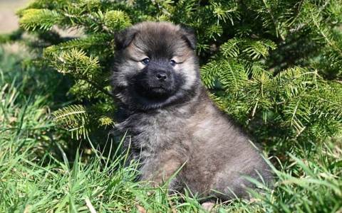 云服务器欠费不停机背后逻辑：企业该懂的风险与应对