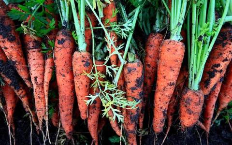 微信云服务器的成本拆解：7项费用、3个案例教你精打细算