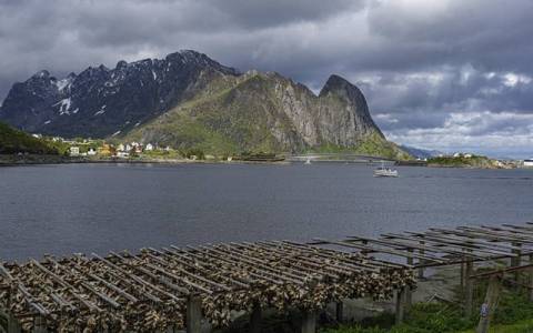 互联网云服务器成就企业增长的底层逻辑与实践路径