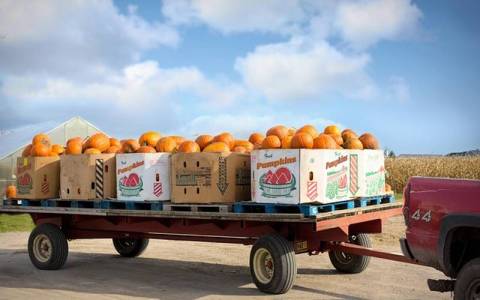 阿里云服务器自制网盘实战：低成本搭建专属私有云存储