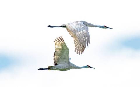 腾讯云同账号服务器迁移究竟该怎么做才更稳妥？