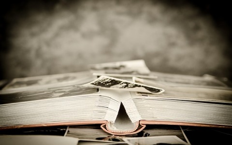 云服务器文字识别组合怎么选：低成本搭建高效识别方案