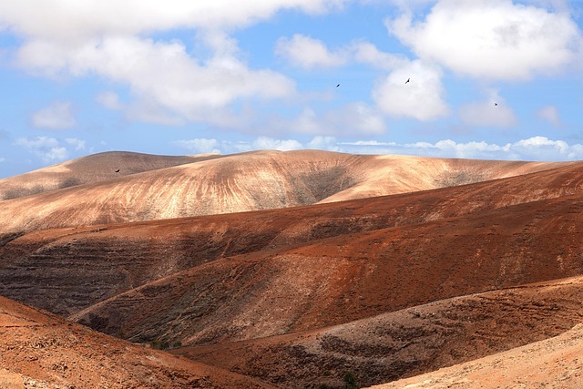 R语言程序哪种云服务器更合适？一文讲透选择逻辑
