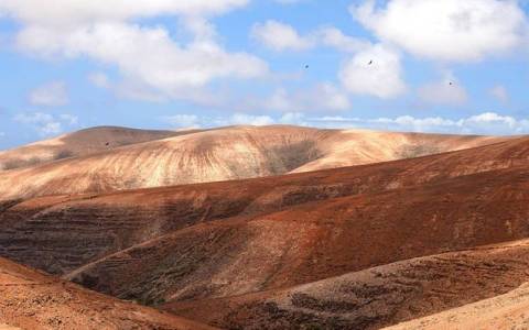 R语言程序哪种云服务器更合适？一文讲透选择逻辑