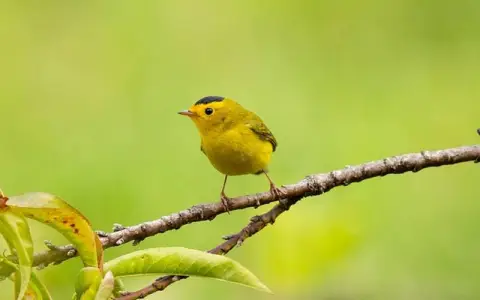 云主机漂移频发怎么办？一文看懂成因、风险与治理方法
